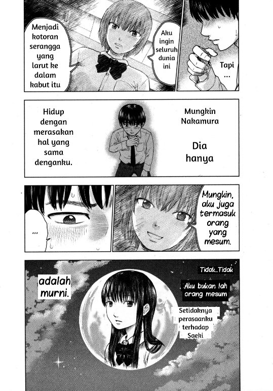 Panel 14