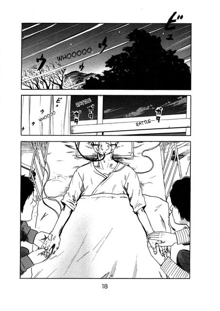 Panel 17