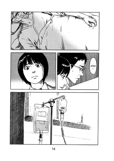 Panel 13