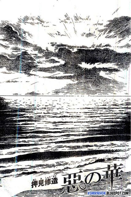 Panel 5