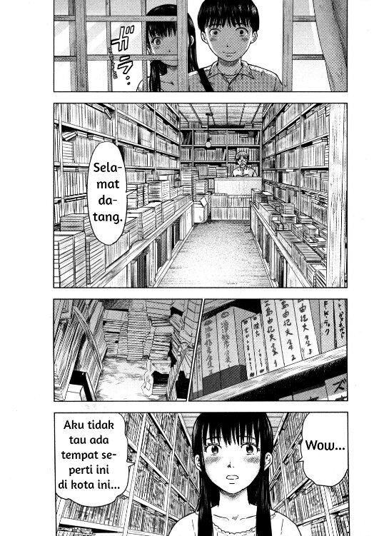 Panel 13