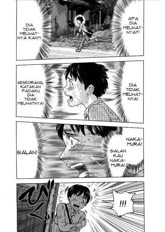 Panel 14