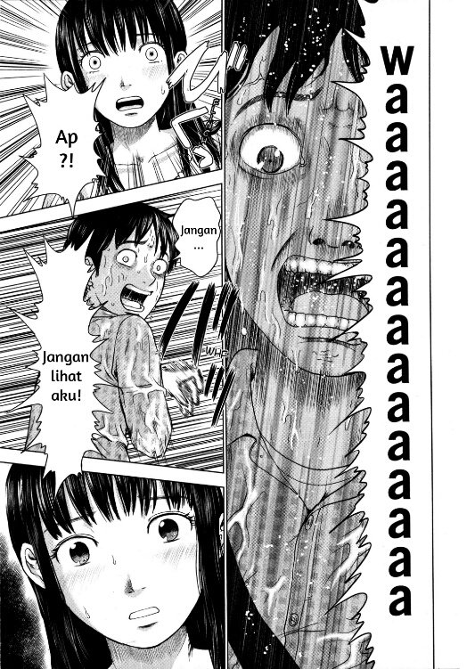 Panel 11