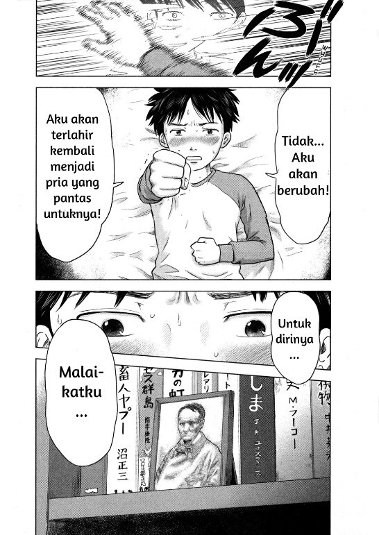 Panel 16