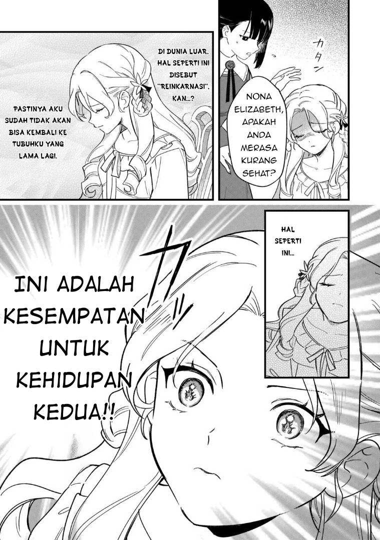 Panel 13