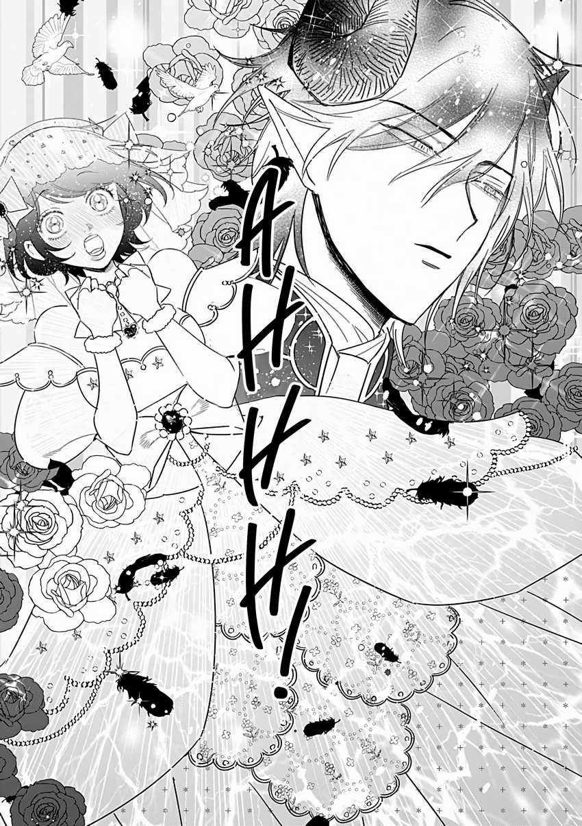 Panel 13