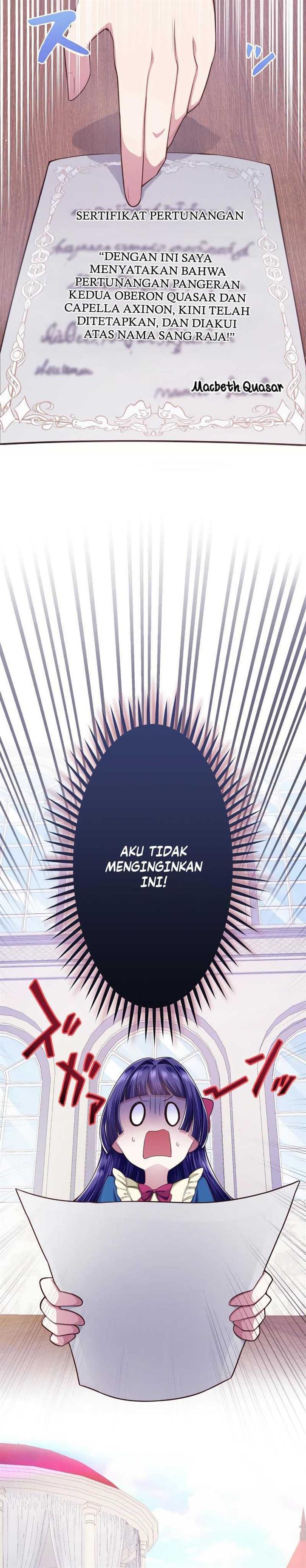 Panel 5