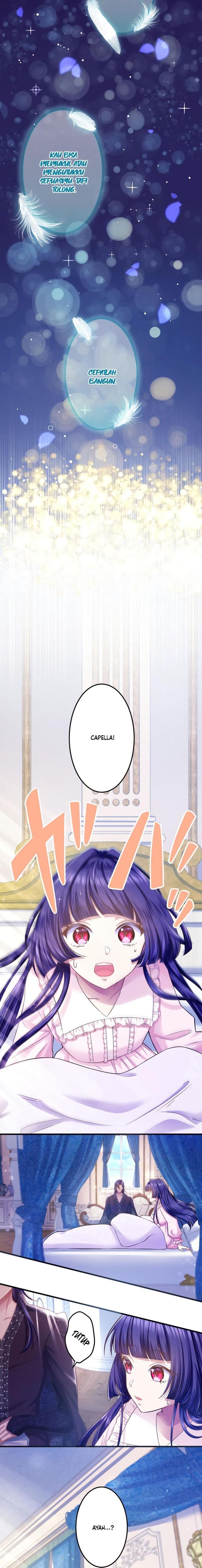 Panel 5