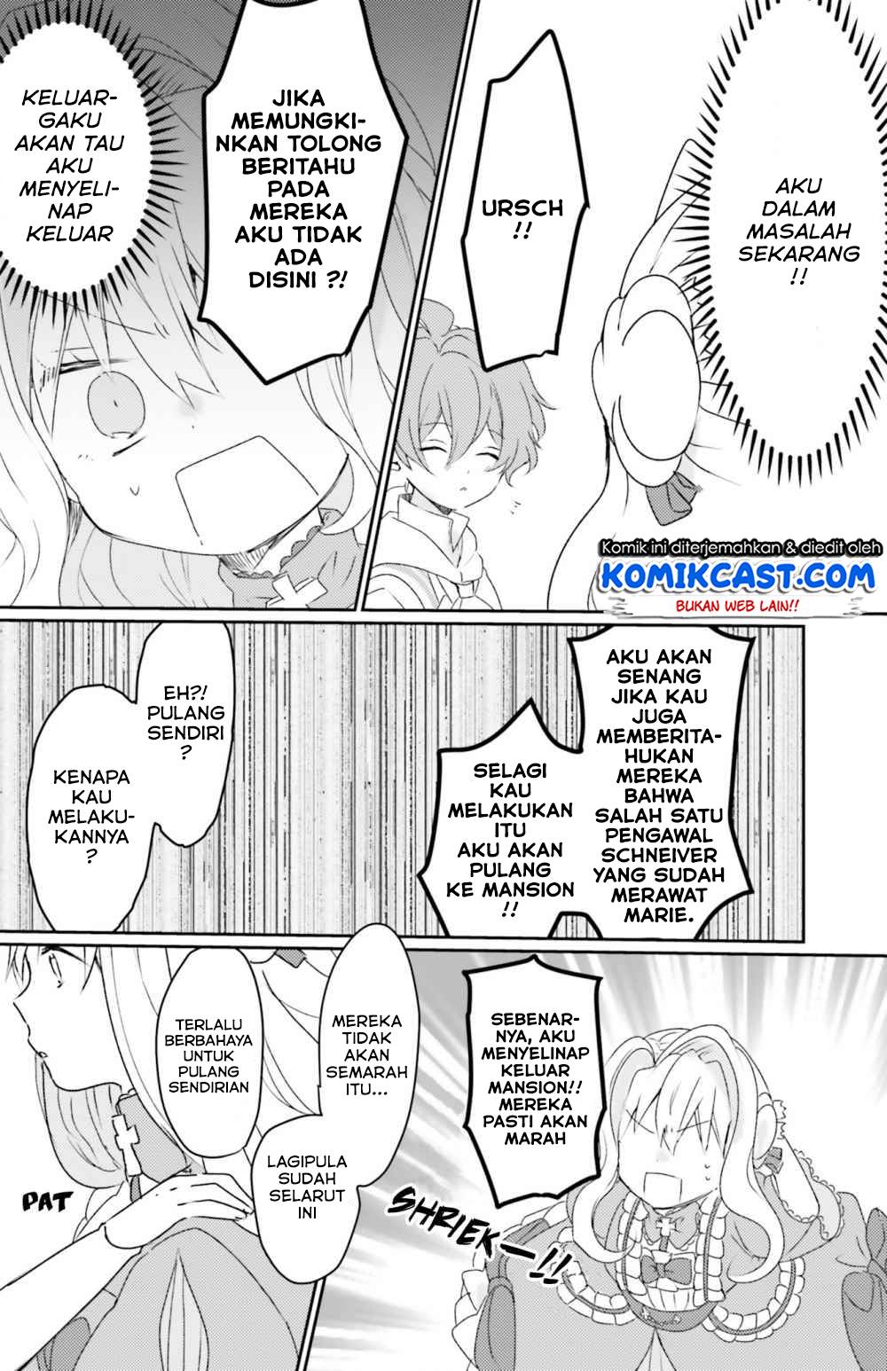 Panel 17