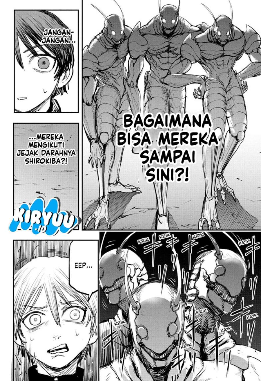 Panel 9