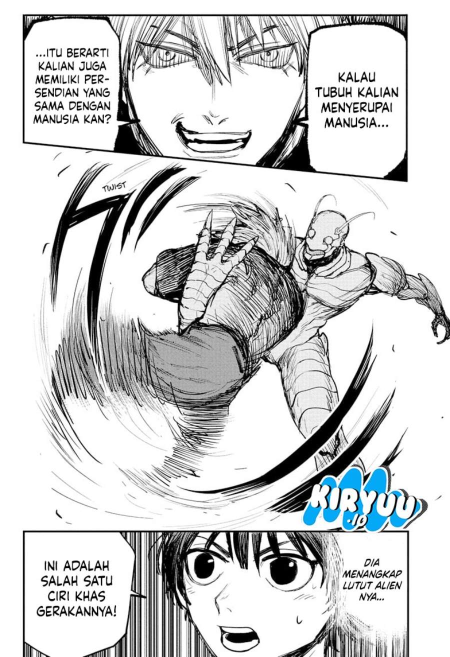 Panel 13