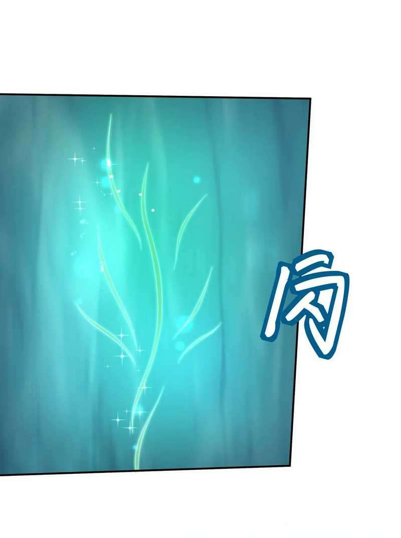 Panel 7