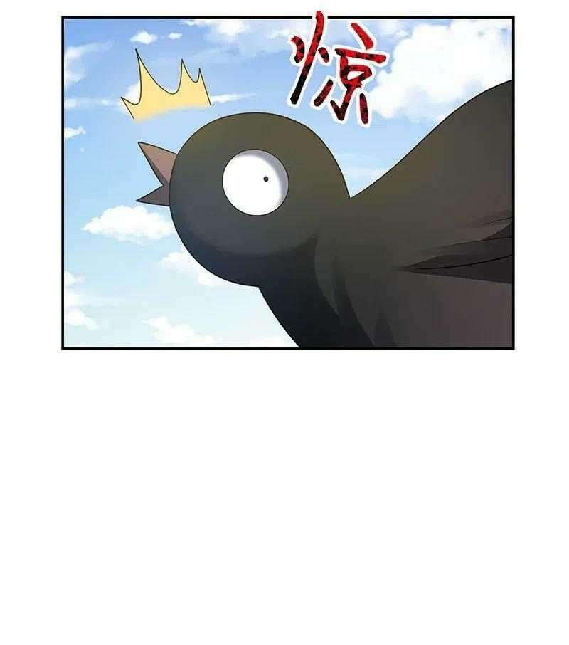 Panel 41
