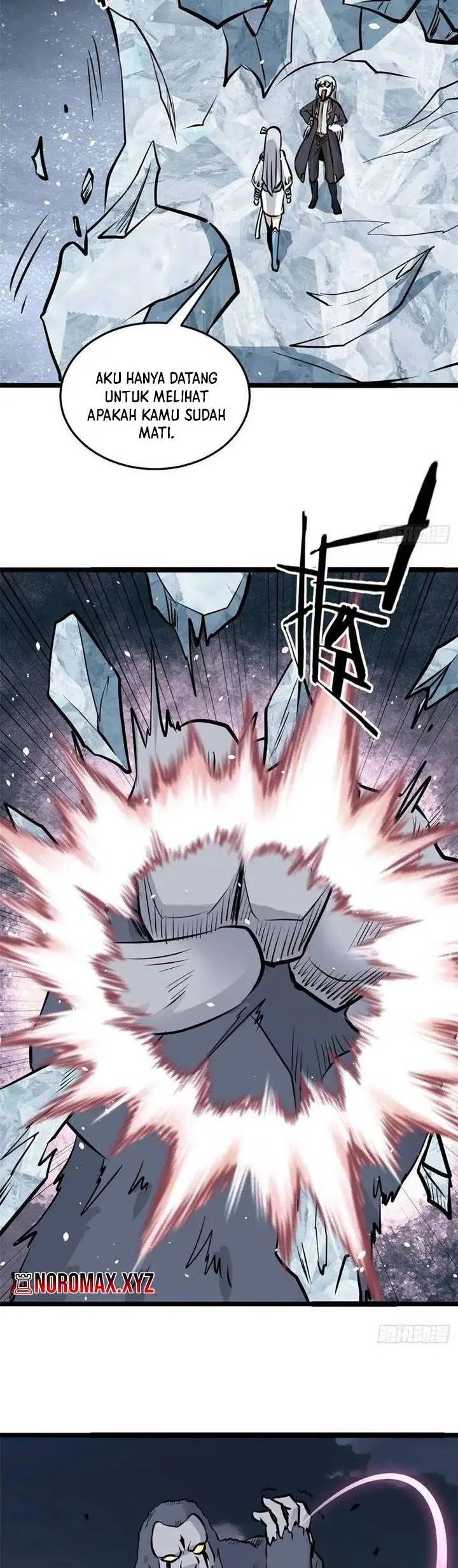 Panel 5