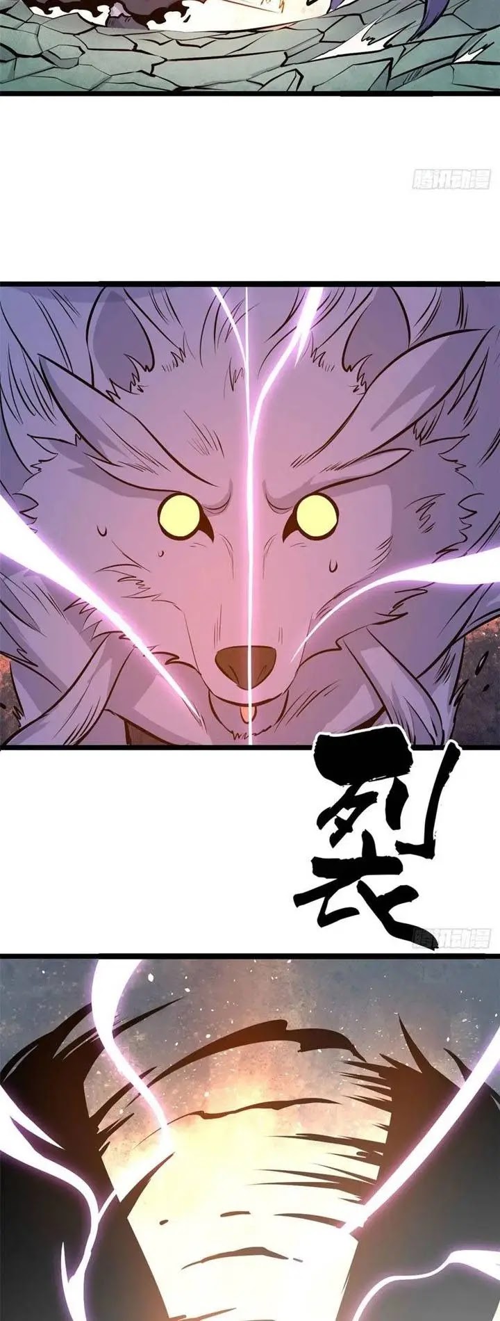 Panel 15