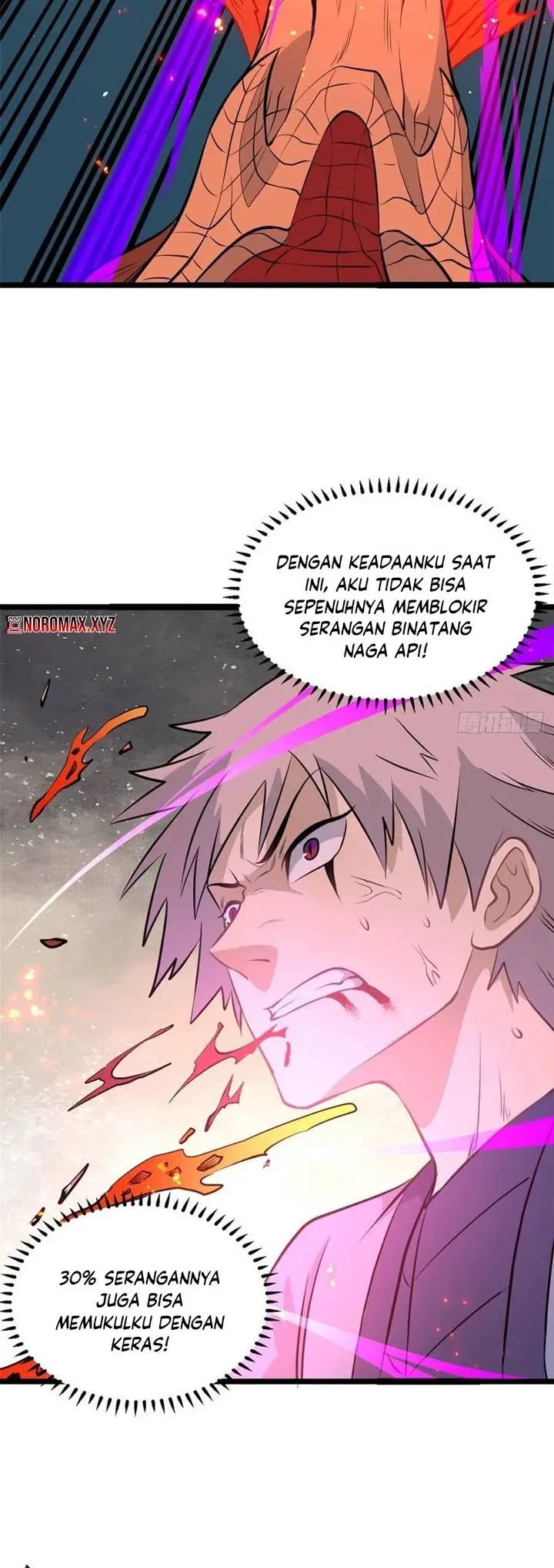 Panel 14