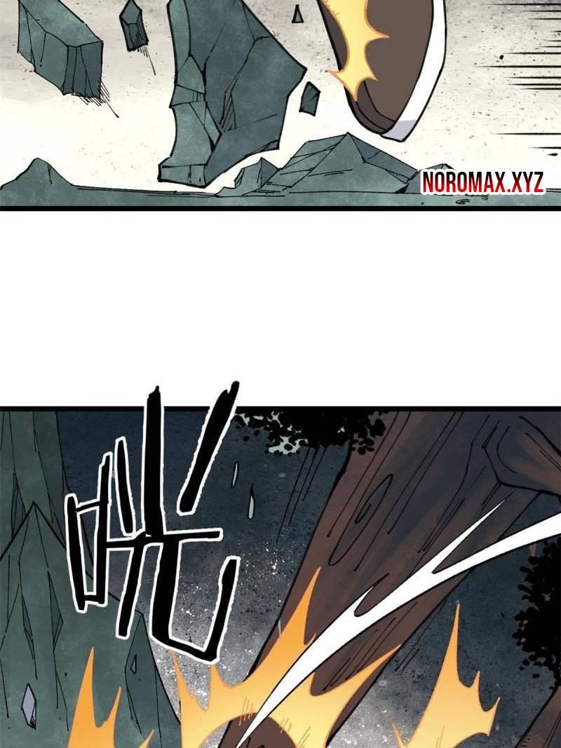 Panel 15