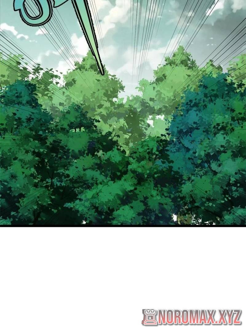 Panel 13