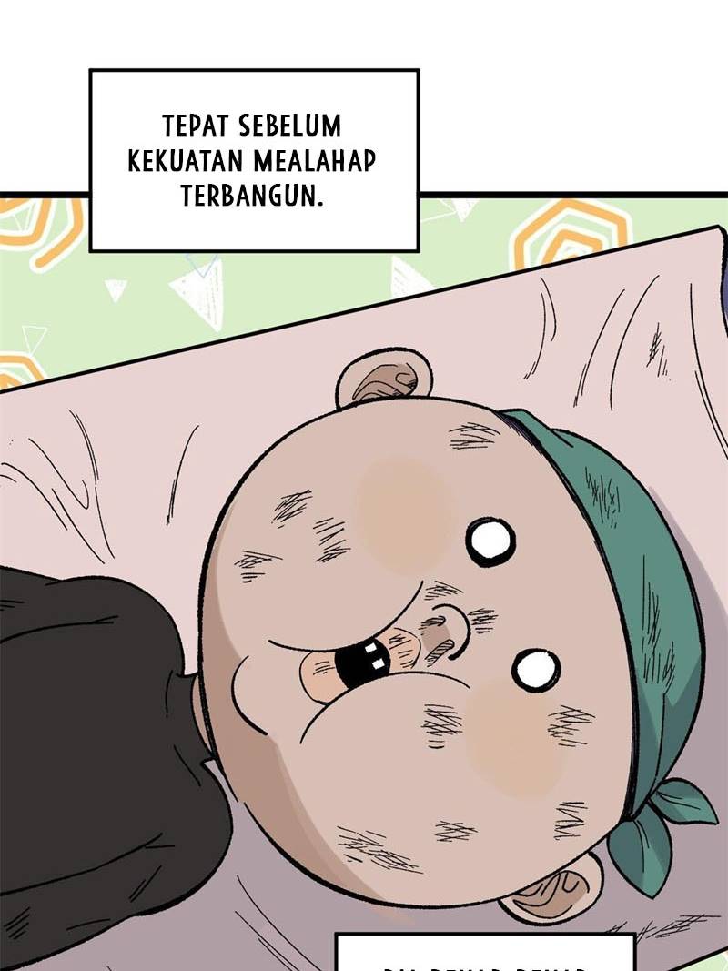 Panel 5