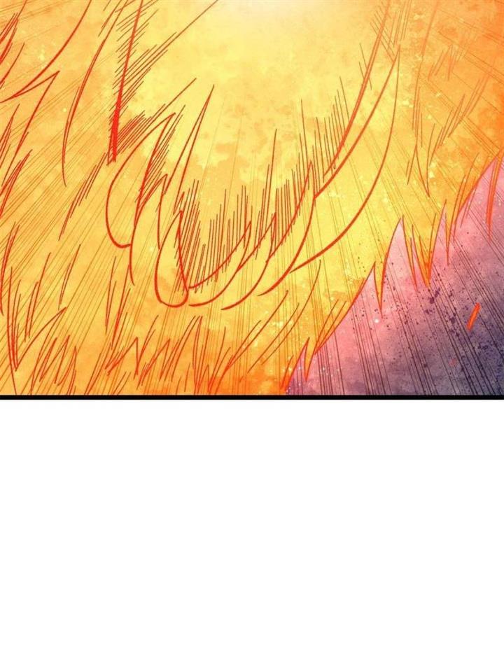 Panel 5