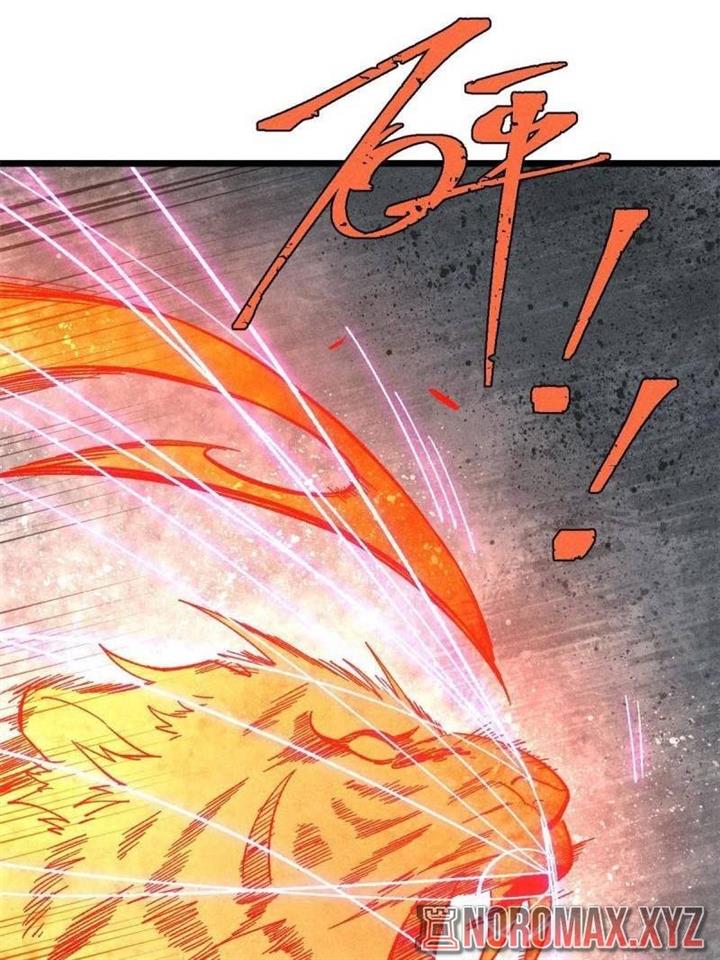 Panel 6