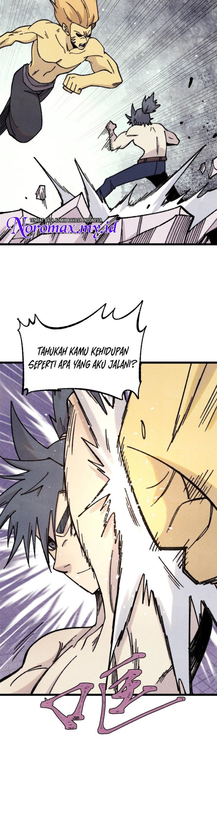 Panel 12