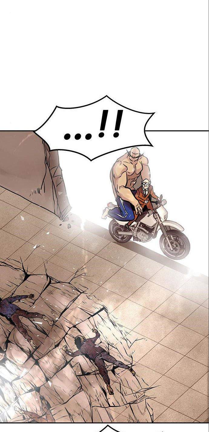 Panel 11