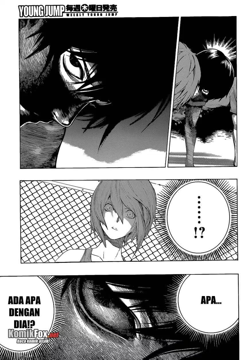 Panel 11
