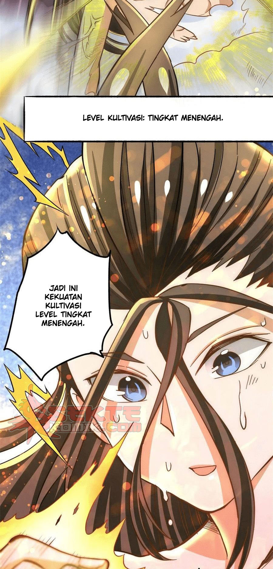 Panel 17