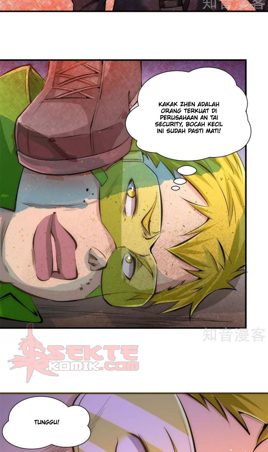 Panel 11