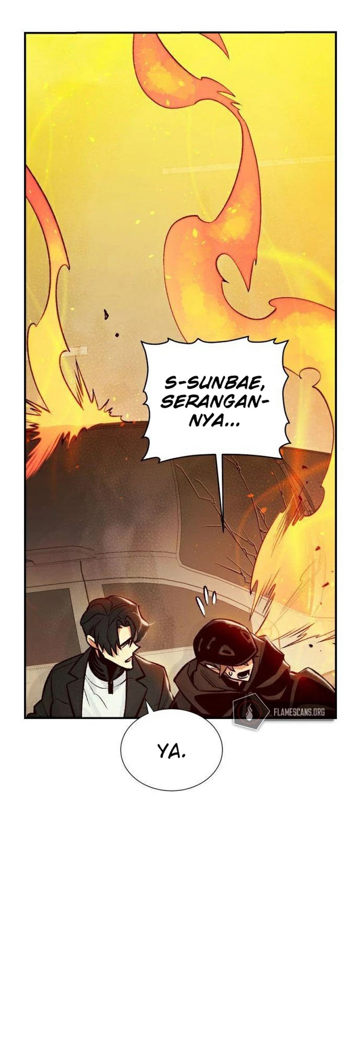 Panel 17