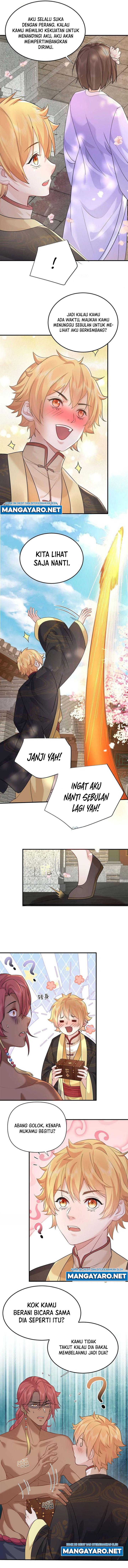 Panel 7