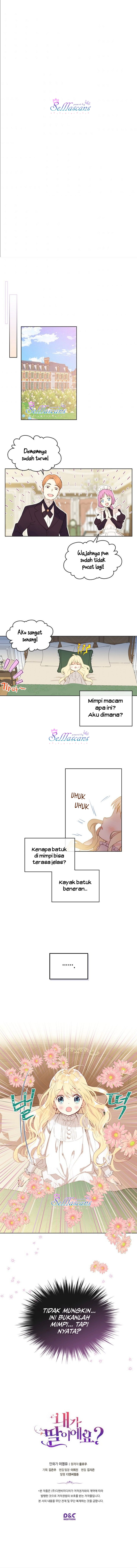 Panel 11