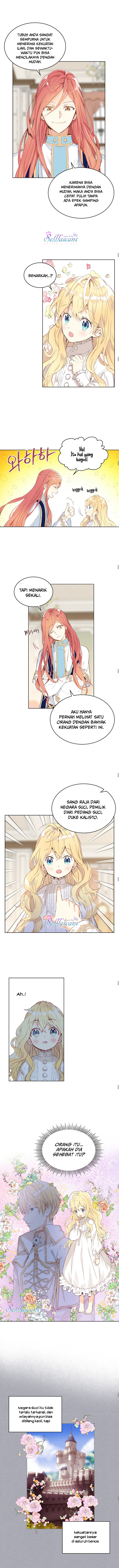 Panel 7