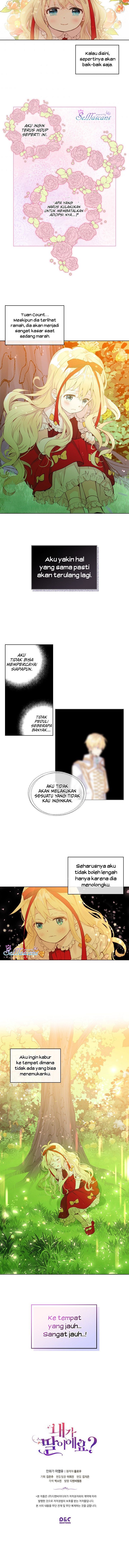 Panel 11