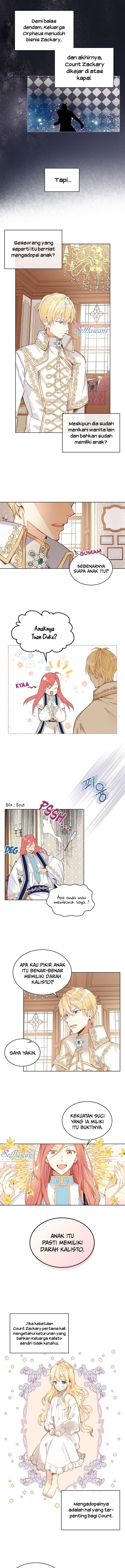 Panel 7