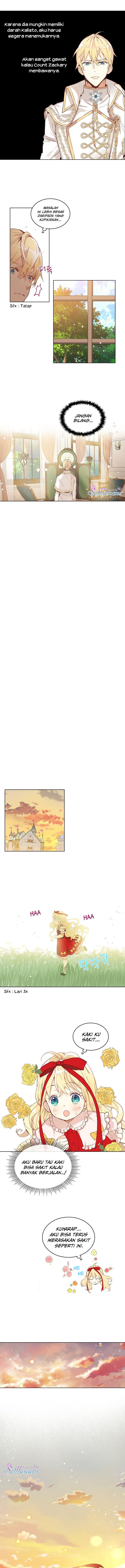 Panel 9
