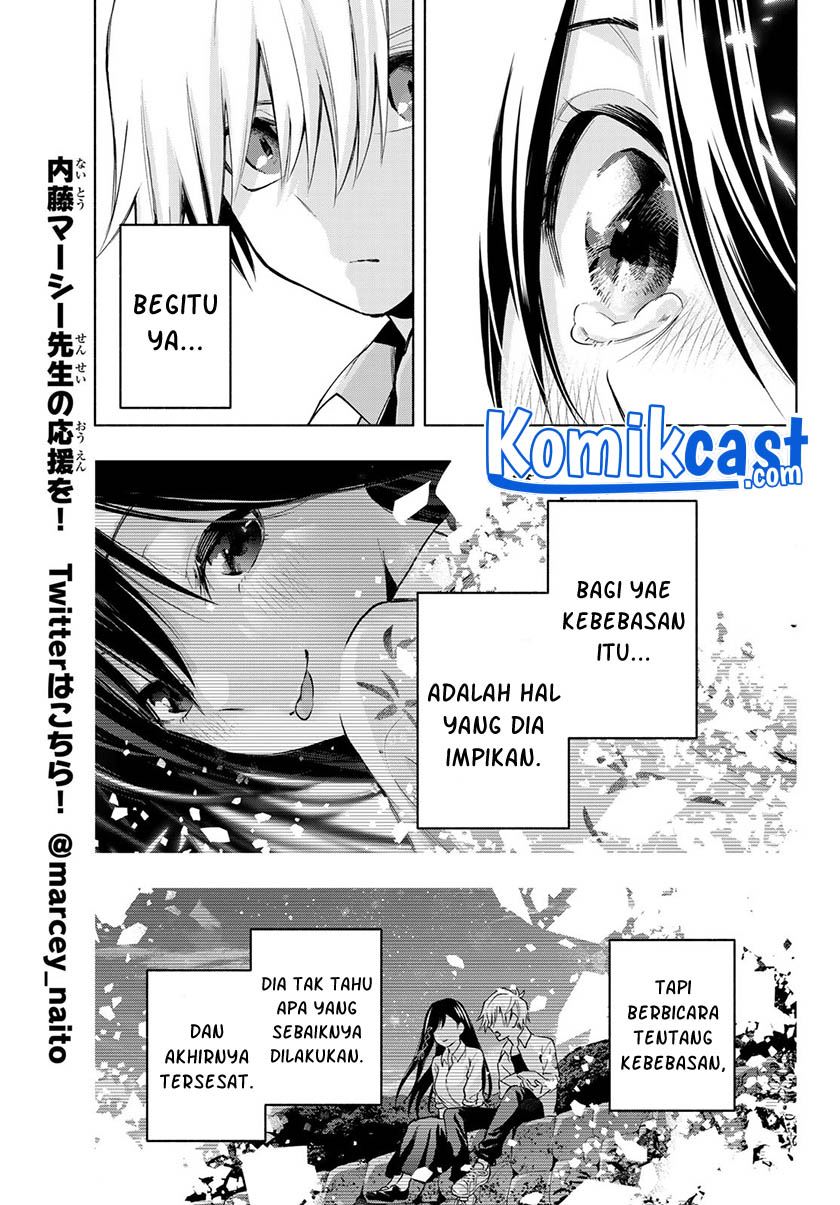 Panel 13