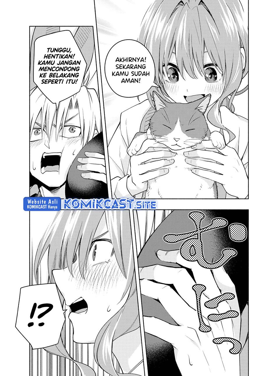 Panel 11