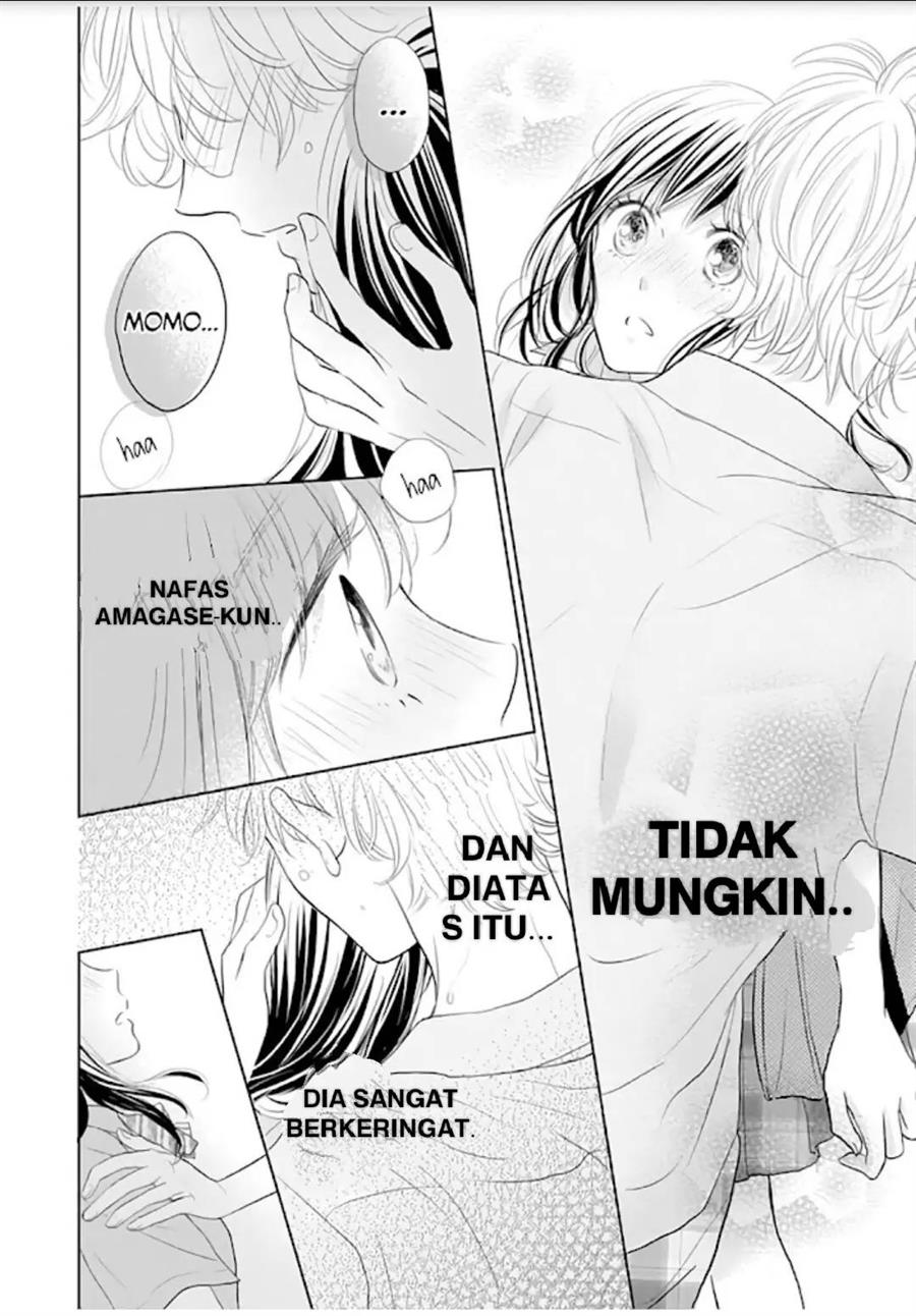 Panel 17