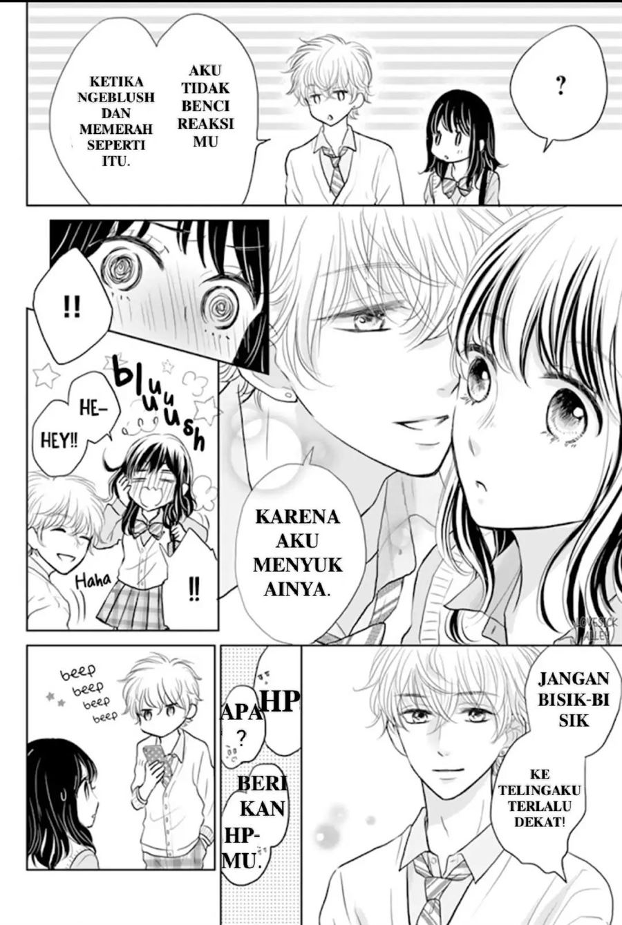 Panel 11