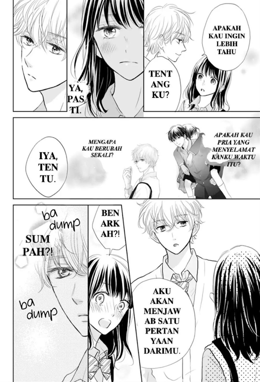 Panel 13