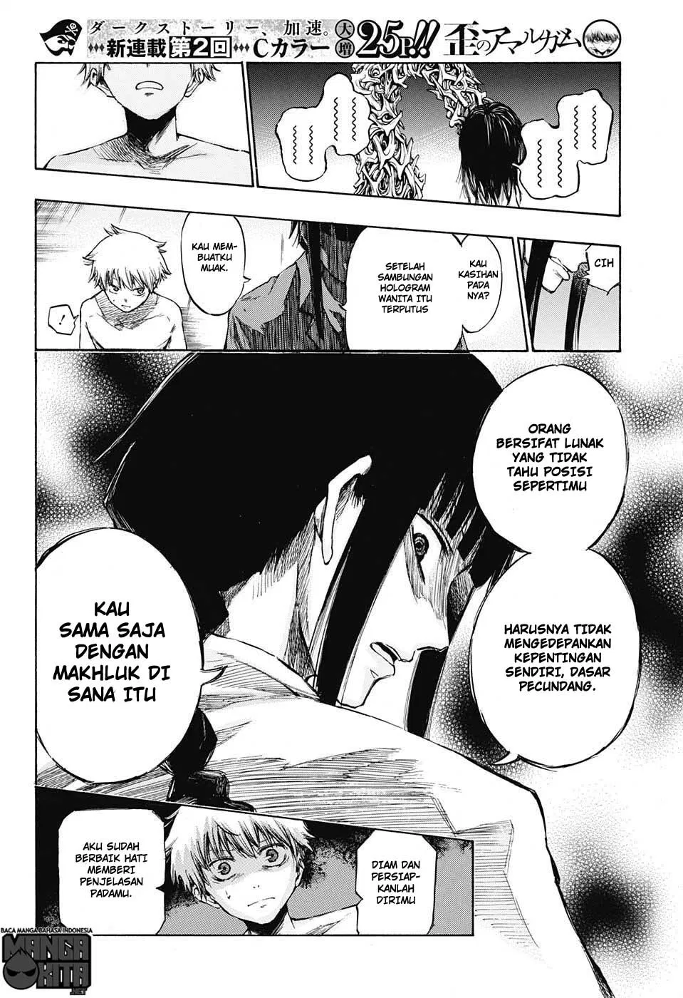 Panel 13