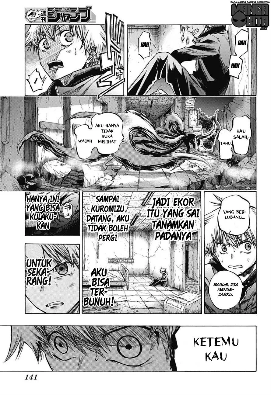 Panel 14