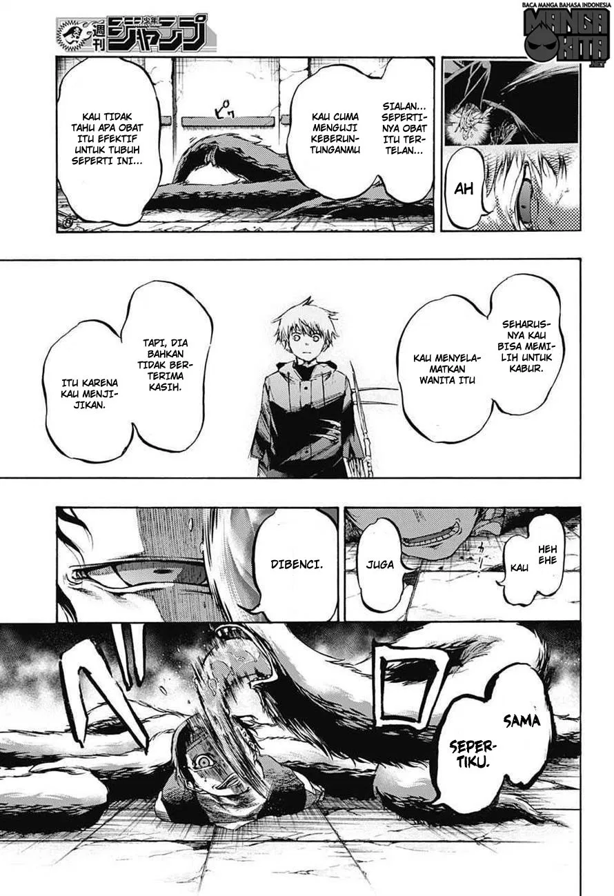 Panel 17