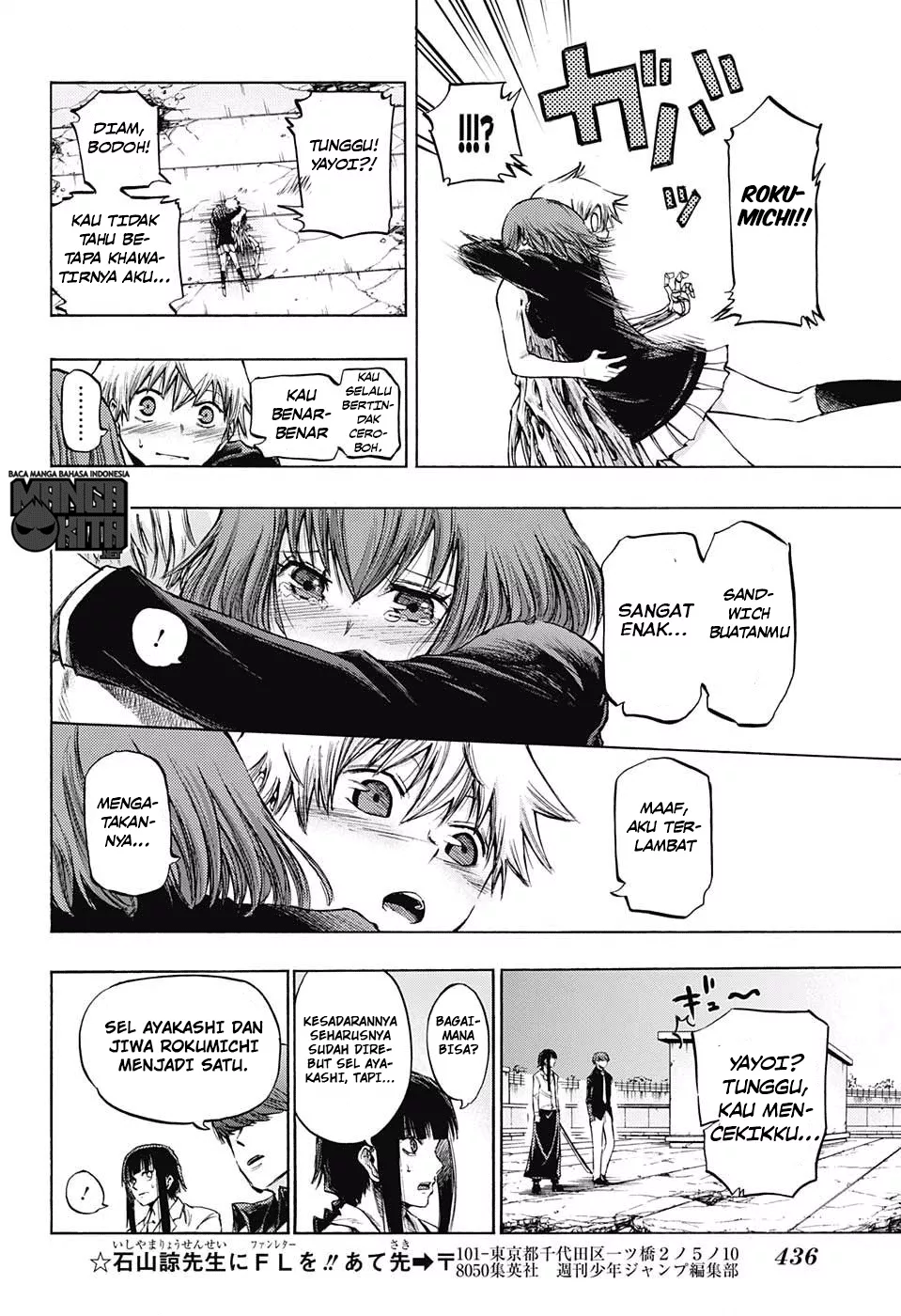 Panel 11