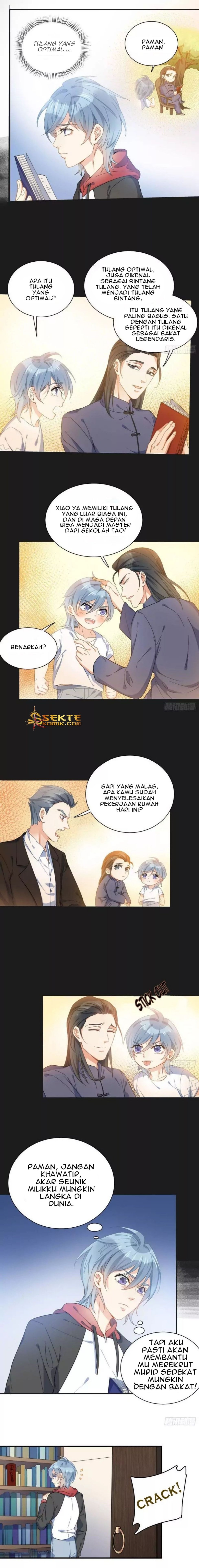 Panel 7