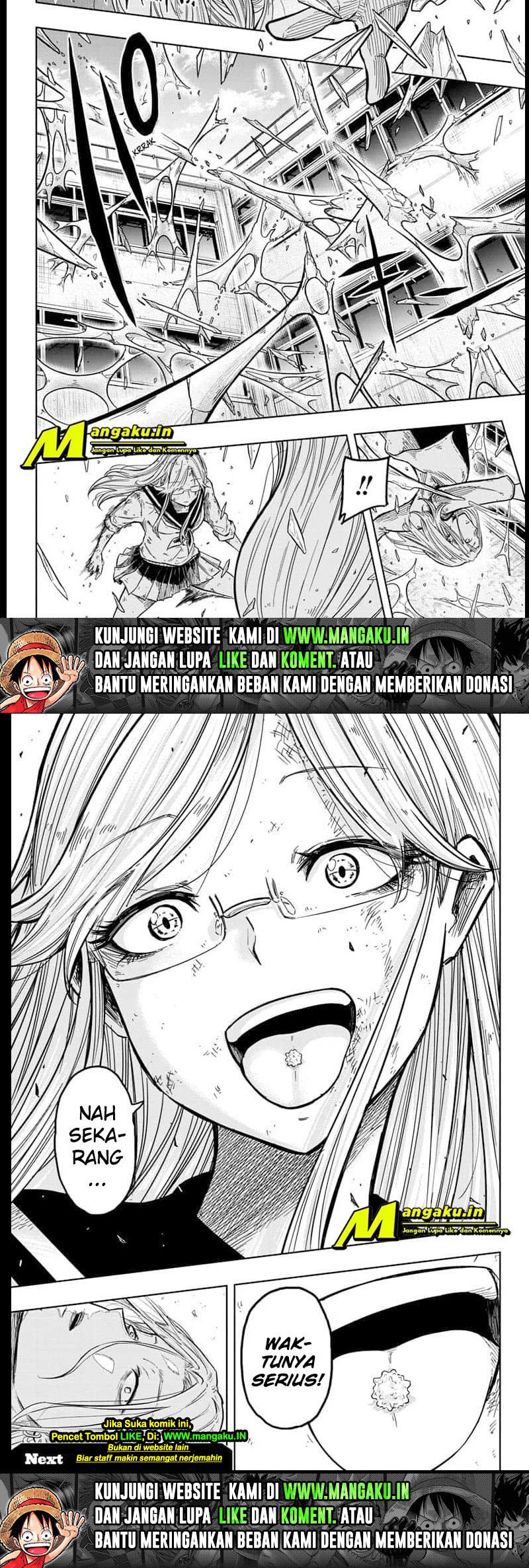 Panel 6