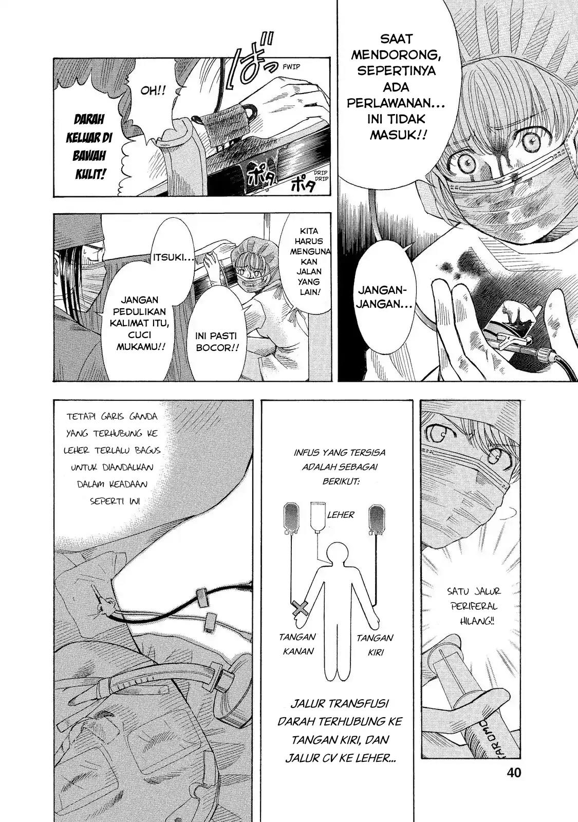 Panel 13
