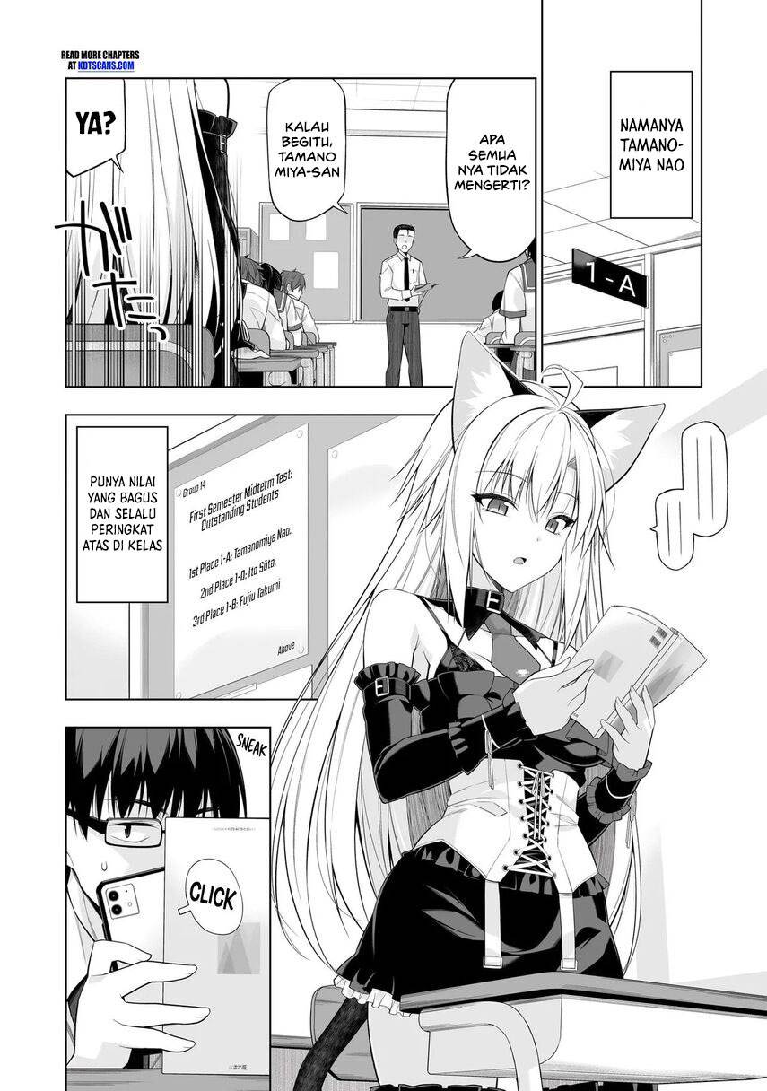 Panel 5